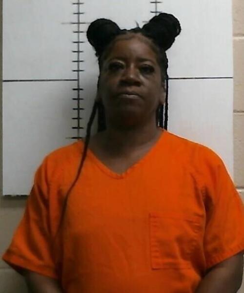 Mugshot of NEKEYLIA DEWOYNG FITZPATRICK