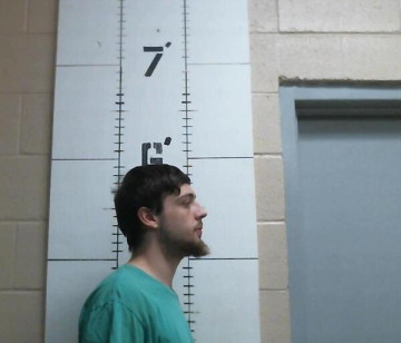 Mugshot of JORDAN SIPES