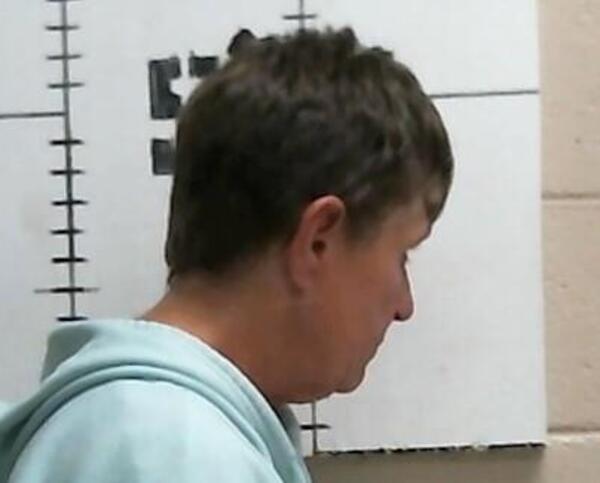 Mugshot of AMY GANN