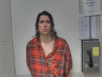 Mugshot of MICHAEL ANTHONY WEBB