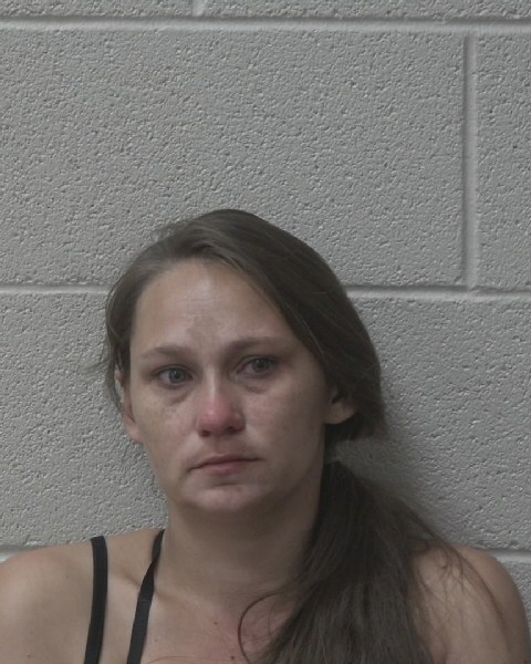Mugshot of KELLY SUNSHINE MITCHELL