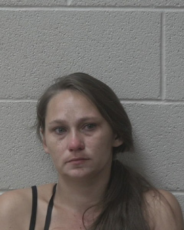 Mugshot of KELLY SUNSHINE MITCHELL
