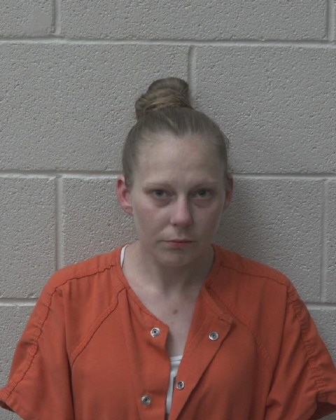 Mugshot of JESSICA DIANE HAMEL