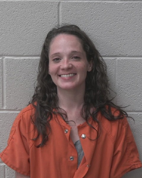 Mugshot of AMANDA NAN DANIEL