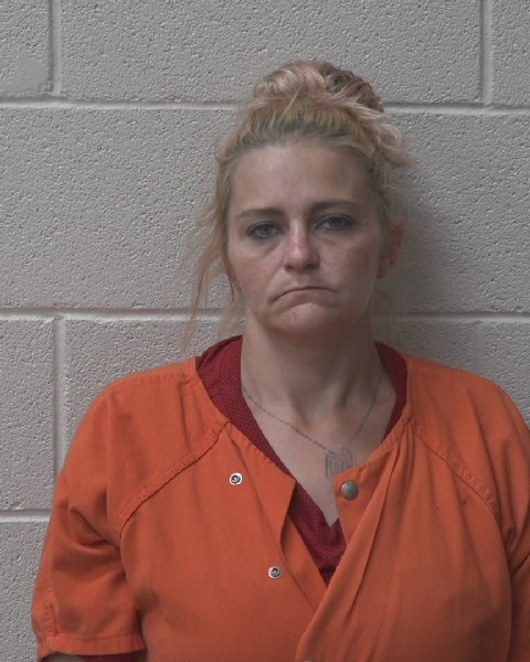 Mugshot of COURTNEY ELAINE HARMON