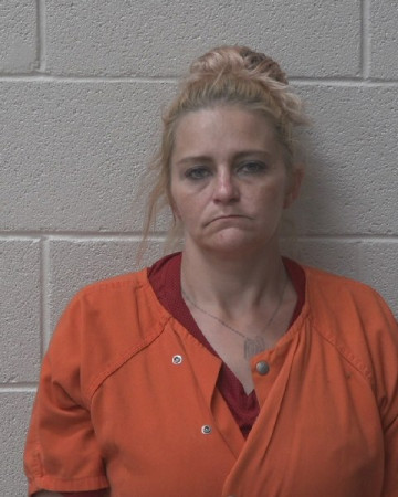 Mugshot of COURTNEY ELAINE HARMON