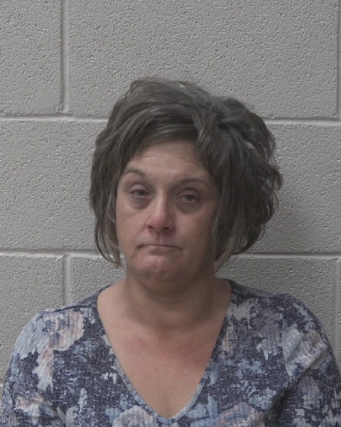 Mugshot of DONNA LYNN HOWELL