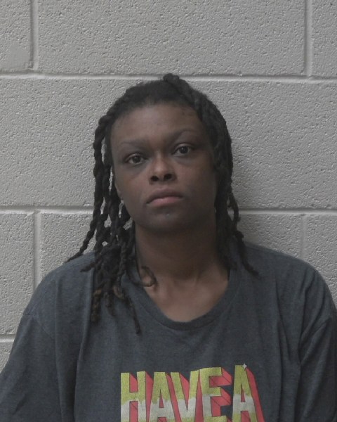 Mugshot of BREANNA NATORI FOWLER