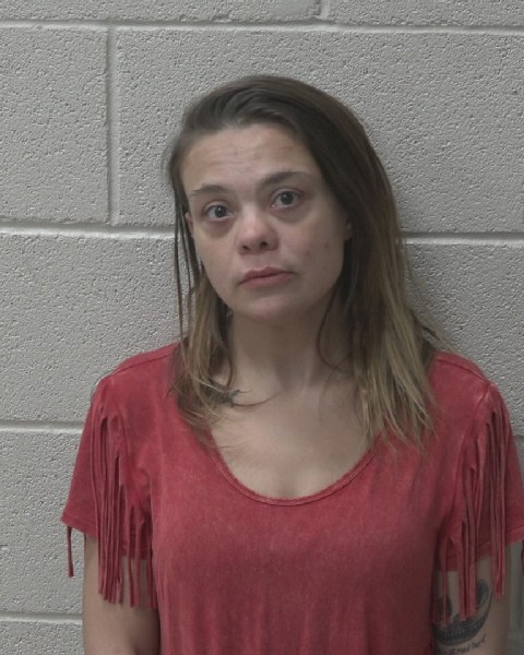 Mugshot of ERIKA ELIZABETH EASLEY