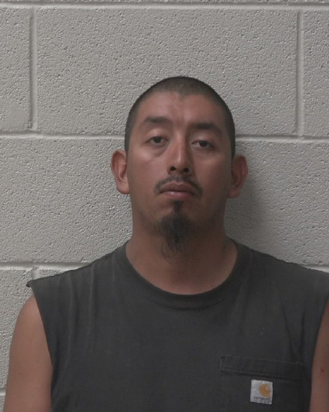 Mugshot of JOSE ULISES CALVARIO-MEJIA