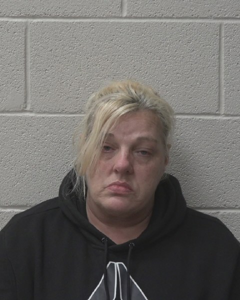 Mugshot of NIKKI TONYA HORTON