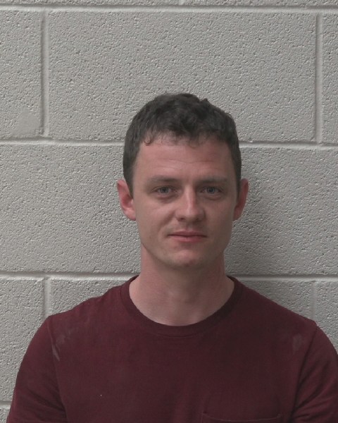 Mugshot of DAWSON STACY DAVIDSON