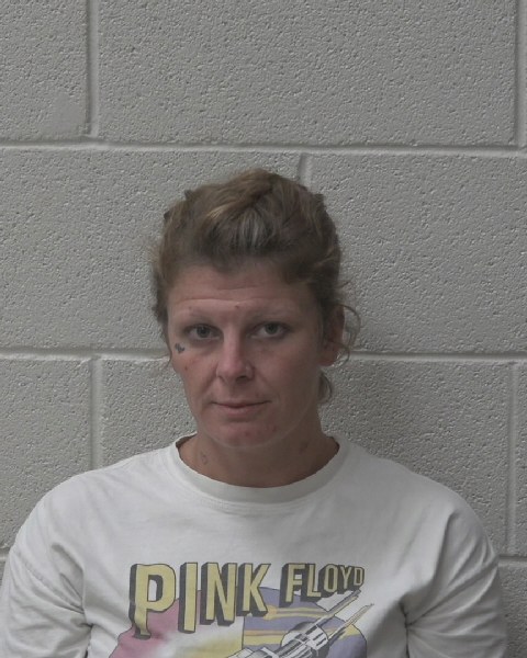 Mugshot of CHARLIE ANN BRADSHAW