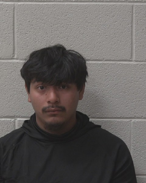 Mugshot of ALEXIS CALVARIO-MEJIA