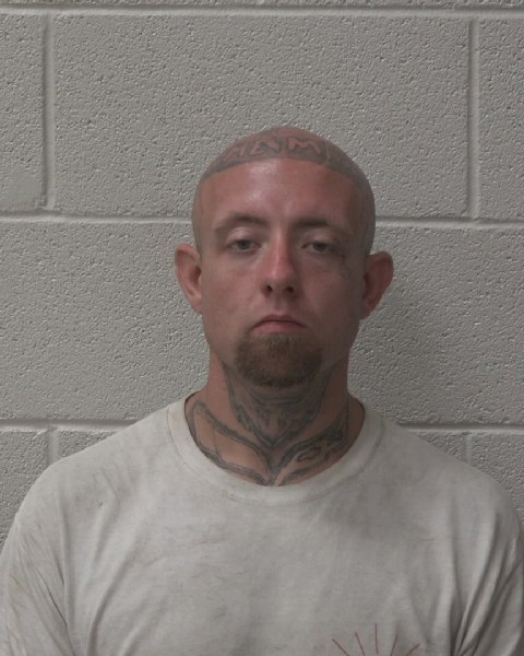 Mugshot of CODY BEN FOX