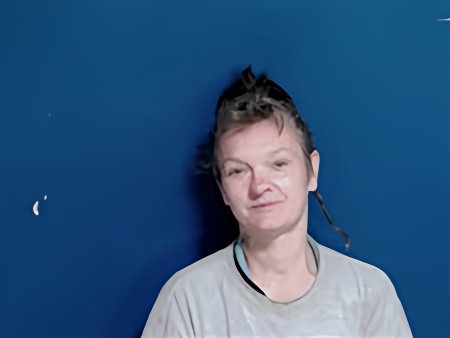 Mugshot of DANA ELIZABETH LAMONDS