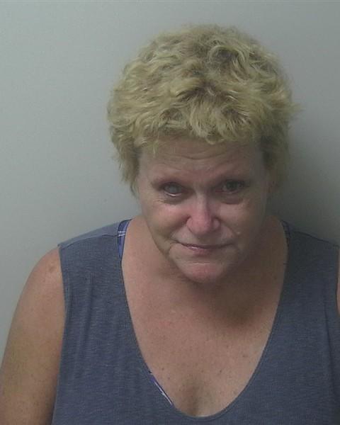Mugshot of ANITA SULLIVAN HORTON