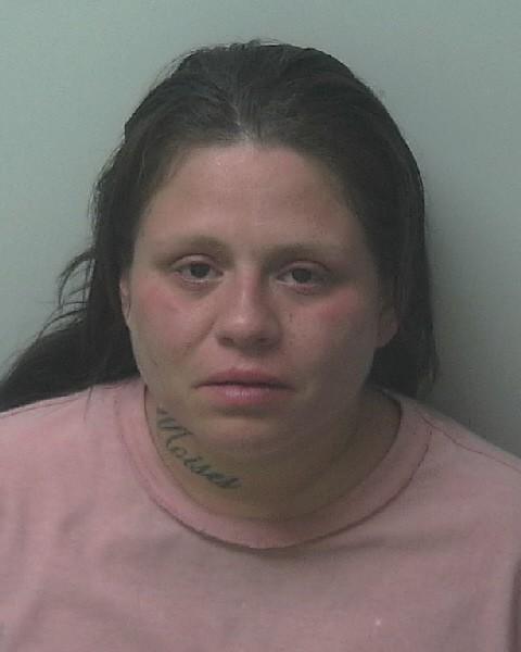 Mugshot of ANGEL ELIZABETH SIPES