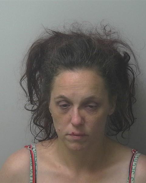 Mugshot of MORGAN PAIGE HEMBY