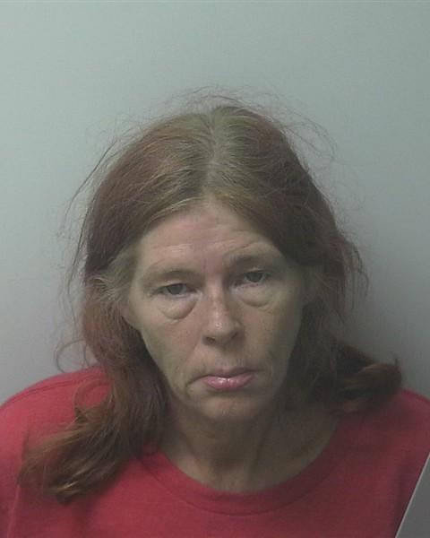 Mugshot of SANDIE LEA BLAND