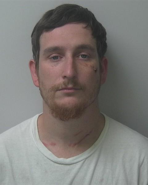 Mugshot of AARON LUKE RINGLEIN