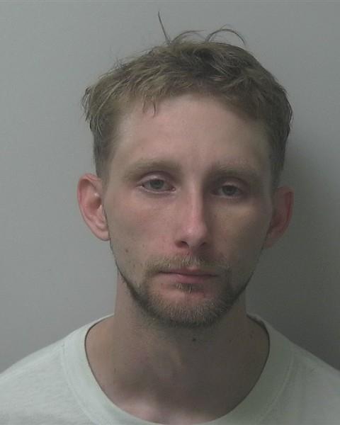 Mugshot of TANNER GRAY GURGANUS