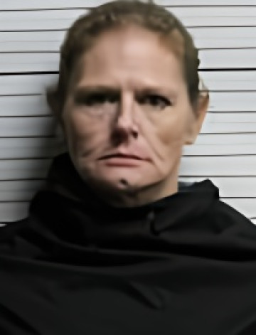 Mugshot of HEATHER RENEE BUTLER