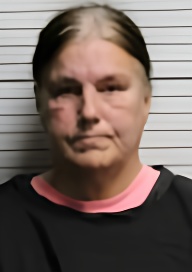 Mugshot of DIANE LOUISE VASQUEZ
