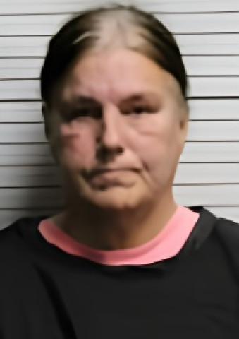 Mugshot of DIANE LOUISE VASQUEZ