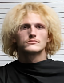 Mugshot of RYAN LEE WILLIAMS