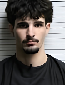 Mugshot of DILLON MICHAEL SAWIN