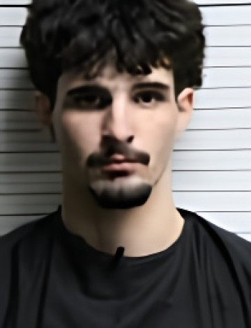 Mugshot of DILLON MICHAEL SAWIN