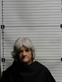 Mugshot of SHARON LYNNE WILLIAMS