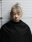 Mugshot of MICHELLE LYNN POLLETTA