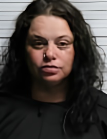 Mugshot of BRANDY NICOLE BRACEY