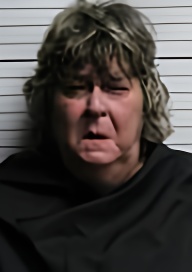 Mugshot of WANDA JEAN SEITZ