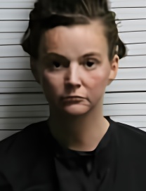 Mugshot of CAROL ANNE TAYLOR