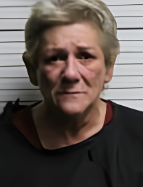 Mugshot of DIXIE ARLENE ADKINS