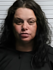 Mugshot of BRANDY NICOLE BRACEY