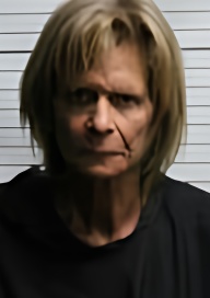Mugshot of LISBETH ANN WELLS