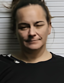Mugshot of KERRI LYNN TORRES