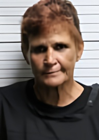 Mugshot of TINA LORRAINE WINTERS