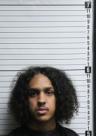 Mugshot of DONOVAN ANTWAN GREEN