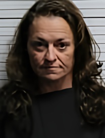 Mugshot of DONNA LYNN STARLING