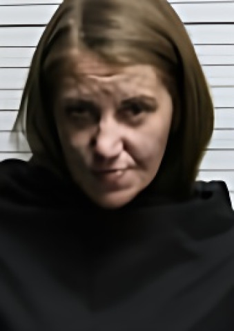 Mugshot of NICOLE MARIE WILSEY