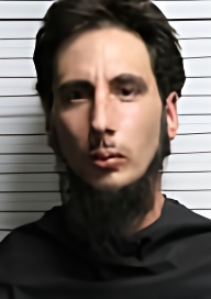 Mugshot of DANIEL GEORGE WERTHEIMER