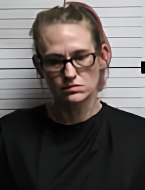 Mugshot of Deidre Dannielle Watson