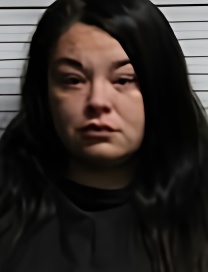 Mugshot of MICHELE DOMINGUEZ