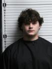 Mugshot of ALEXANDER DALTON LAWING