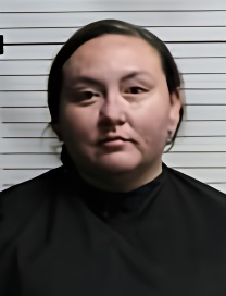 Mugshot of DEVIN SKYE FLETCHER